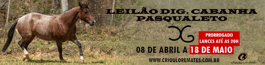 Leilao digital da cabanha pasqualetto