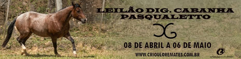 Leilao digital da cabanha pasqualetto